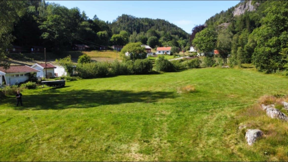 spot-image
